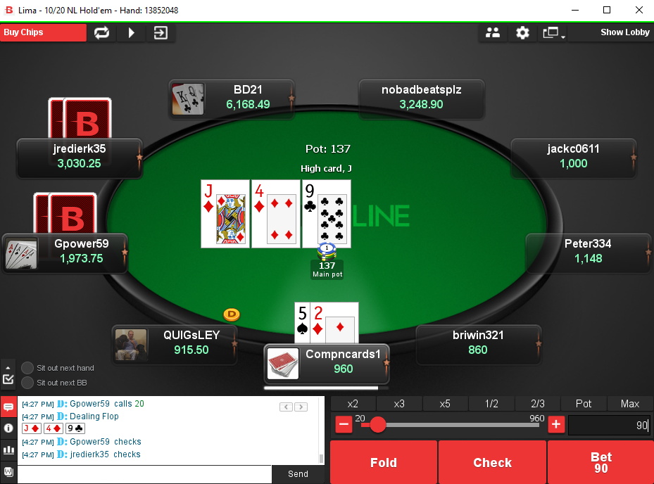professional online cash game poker player